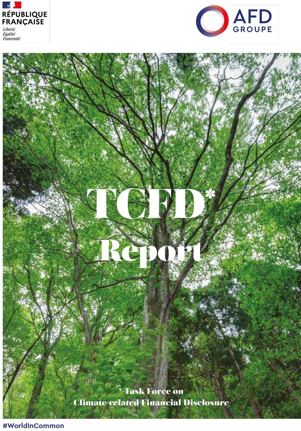 2022 TCFD Report (Task-Force on Climate Related Financial Disclosure) 